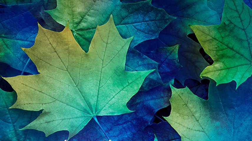 Podzimní prohlídka + 50% skeva na stěrače